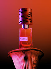 Carica l'immagine nel visualizzatore di Gallery, Micodelirio 2ml