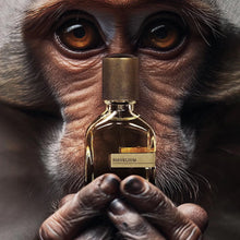 Carica l'immagine nel visualizzatore di Gallery, Risvelium