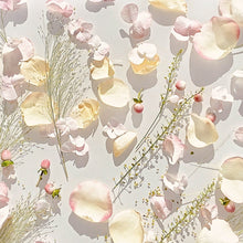 Carica l'immagine nel visualizzatore di Gallery, Royal Muska