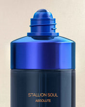 Carica l'immagine nel visualizzatore di Gallery, Stallion Soul Olio