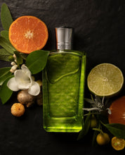 Carica l'immagine nel visualizzatore di Gallery, Colonia Veneziana