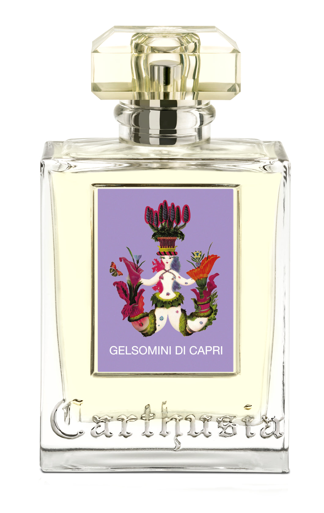 Gelsomini di Capri